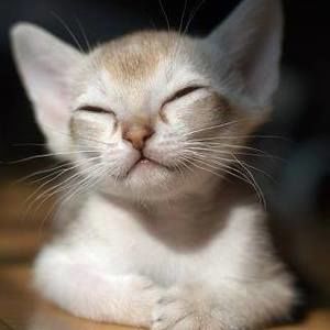 Meet your Posher, Patricia